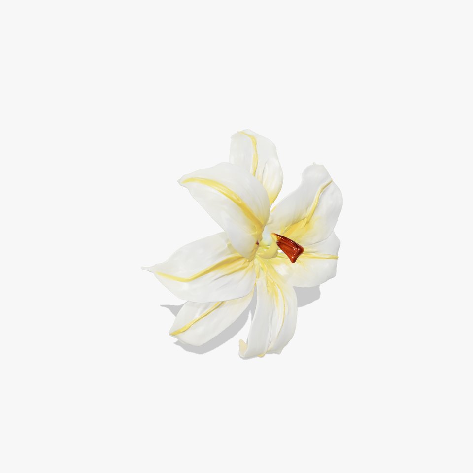 Golden Lily Flower model pack